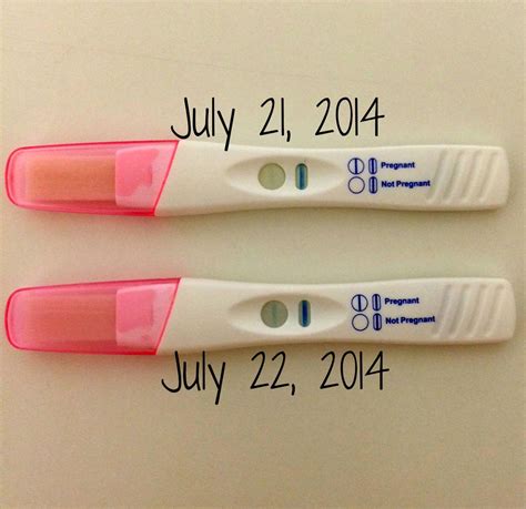 If you take a home <strong>pregnancy test</strong> too early, you may get a false <strong>negative</strong> result. . 19 days late period negative pregnancy test